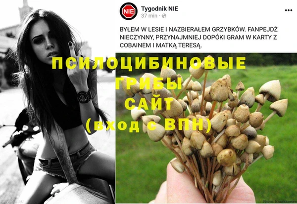 СК Белокуриха